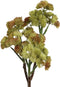 PTMD Succulent Plant Vetkruid Kunsttak - 23 x 16 x 38 cm - Geel/Groen