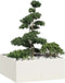 vidaXL - Plantenbak - 100x100x40 - cm - staal - wit