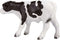 Mojo Farmland Holstein Kalf Staand - 387061