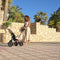 Deryan Explorer Luxe - Driewieler - Duwstang - Opvouwbaar - Nougat