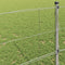 vidaXL - Veldhek - 0,8x25 - m - Gegalvaniseerd - Staal