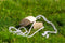 Outdoor Play Loopklossen - Speelgoed - Houten klossen - 16 x 6 x 7 cm - vanaf 5 jaar