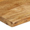vidaXL - Tafelblad - met - natuurlijke - rand - 70x40x3,8 - cm - massief - mangohout
