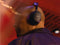 Bose QuietComfort Ultra Headphones (2de gen) - Draadloos - Actieve ruisonderdrukking - Zwart