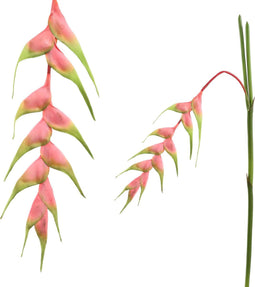PTMD Garden Heliconia Rostrata Kunstbloem - 65x8x137 cm - Licht roze