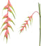 PTMD Garden Heliconia Rostrata Kunstbloem - 65x8x137 cm - Licht roze