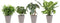 Combibox hippe kamerplanten in Anne Taupe keramiek – ↨ 25cm – ⌀ 12cm