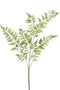 PTMD Fern Plant Varen Kunsttak - 62 x 42 x 154 cm - Groen