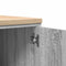 vidaXL - Garagekast - 30x51x85 - cm - massief - grenenhout - grijs - sonoma