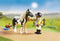PLAYMOBIL Country Verzamelpony 'Lewitzer' - 70515