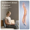 Lifeproducts Massagekussen - Shiatsu Nekmassage Apparatuur - Warmtefunctie - Zacht Schuimkussen