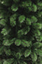 Triumph Tree Camden Kunstkerstboom Slim - H230 x Ø117 cm - Groen