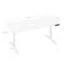 Woltu Elektrisch Verstelbaar Bureau - 160 x 70 cm - Hoogte 72 tot 120 cm - USB Oplader - Wit