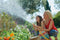 Hozelock Superhoze Plus - Uitrekbare Tuinslang 5-15m - Verstelbare Tuinspuit + Rose Spraygun