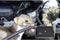Gardigo 78540INT Ultrasone marterverschrikker 1 stuk(s)