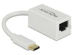 Delock 65906 - USB-C naar RJ45 Gigabit Ethernet LAN adapter - CAT6 - Wit