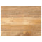 Tafelblad rechthoekig 80x50x3,8 cm massief mangohout