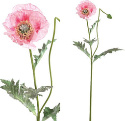 PTMD Klaproos Kunsttak - 30 x 19 x 75 cm - Roze