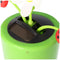 Solar Wiggle Flower - Potplant met Lieveheersbeestje - Beweegbare Bloem