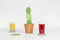 Suck UK Coaster Onderzetter - Cactus set van 6