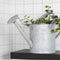 Oud zink gieter 8.75 liter