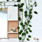 Multifunctionele Plantenclips - Voor Klimplanten en Wanddecoratie - 60 Stuks, Groen & Wit, voor Tuin en Thuis