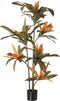 Decoratieve plant Dracaena Bruin Groen PVC 140 cm