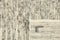 Landscape River Beige 1018 Vloerkleed - 140x200 - Rechthoek - Laagpolig,Structuur Tapijt - Modern - Beige, Taupe