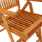 vidaXL - Tuinstoelen - met - voetensteunen - 2 - st - inklapbaar - eucalyptushout