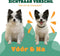 Mister Mill Mini Tondeuse 4 in 1 - Elektrische Hondentondeuse - Draadloos - Stille werking