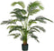 Mica Decorations Kunstplant Areca - 50x50x182 cm - Polypropyleen - Groen