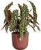 Elho Jazz Rond 19 Bloempot - Voor Binnen - 100% Gerecycled Plastic - Ø 18.9 x H 17.6 cm - Toscaans rood