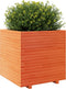 vidaXL - Plantenbak - 70x70x72,5 - cm - massief - grenenhout - wasbruin