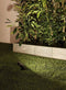 Paulmann Sting - Plug & Shine LED-tuinspot - IP67 3000K 6,4W - Antraciet
