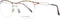 Scotch & Soda SS2015 53402 bril zonder sterke - Heren - Bruin