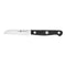 ZWILLING Gourmet 6 piece knife/cutlery block set