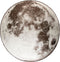 Zuiver Moon Buiten Vloerkleed Rond '280 Grijs