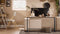 SoBuy FSB19-XL-N - Consoletafel - Smal Design Ruimtebesparend Hout/Metaal - Natuur/Zwart 120x20x80cm