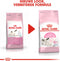 Royal Canin Mother & Babycat - Kitten-Kattenvoer - 2 kg