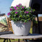 Capi Europe - Bloempot bol Arc Granite - 34x25 - Ivoor - Bloempot Voor binnen en buiten - Beschikbaar in XL formaten - Breukbestendig - 100% Recyclebaar - Levenslang garantie - NIVS8031