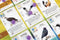 999 Games - Wingspan uitbreiding Europa - Bordspel met nieuwe vogelkaarten - Milieuvriendelijk opbergdoos