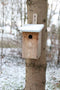Esschert Design Observatie - Vogelhuisje