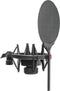 SE-Electronics X1 S - Studio Bundle - Inclusief popfilter en schokmount