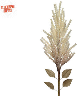 Boeketten Everlands 13 x 9 x 94 cm Pampa