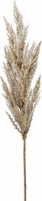 Emerald Pampasgras pluim losse steel/tak - naturel - 92 cm - Decoratie kunst bloemen/graspluimen