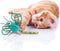 Kong Flingaroo Dragonfly Assorted - Kattenspeelgoed - Kattenknuffel - Speelgoed Kattenkruid - Interactief Kattenspeeltje - Pluche Speelgoed voor Katten