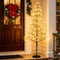 Coast Lichtboom Kunstboom - 120 cm - 800 Warm Witte LED-lampjes - Zwart
