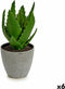 Decoratieve plant Aloë Vera 14 x 21 x 14 cm Grijs Groen Plastic (6 Stuks)