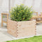 vidaXL - Plantenbak - 70x70x46 - cm - massief - grenenhout