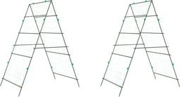 vidaXL - Plantenklimrekken - 2 - st - A-frame - staal